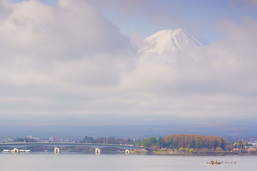卯月の富士山　新倉富士浅間神社から河口湖へ 