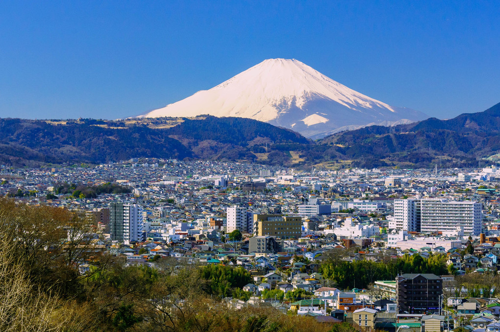 秦野市と富士山