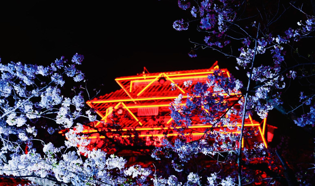 福岡城の幻の天守閣と夜桜