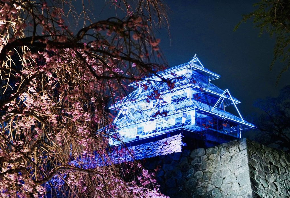 福岡城の幻の天守閣と夜桜
