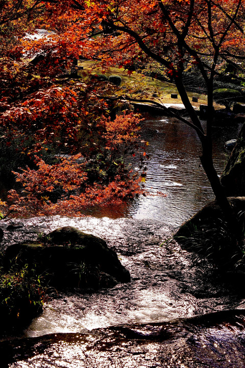 大分県耶馬渓,渓石園,一目八景は秋の紅葉の旅