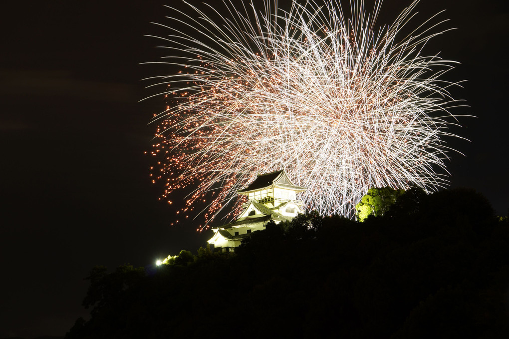 闇夜に浮かぶ城にふりそそぐ花火かな