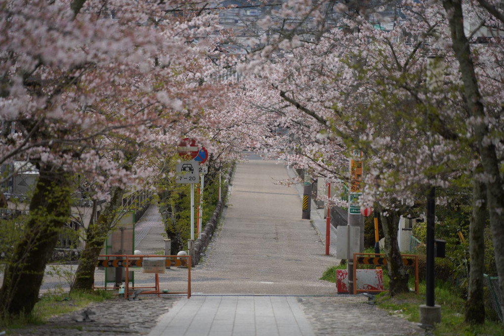 伊賀上野城