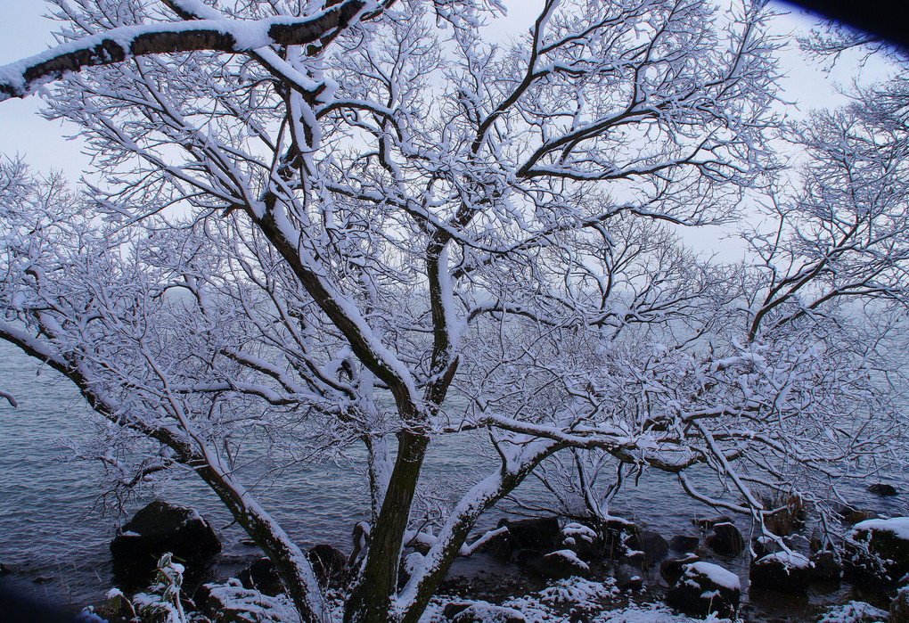 琵琶湖の雪景色