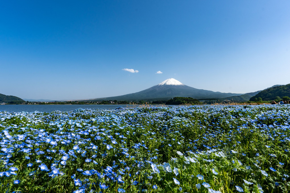 地上の青と空の青