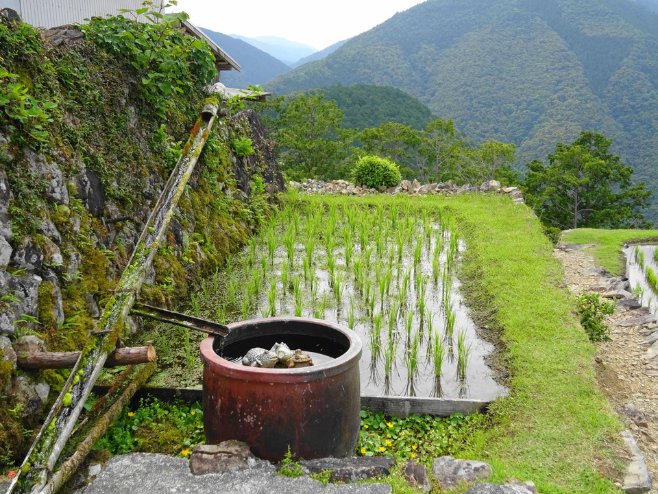 熊野古道　果無峠（はてなしとうげ）