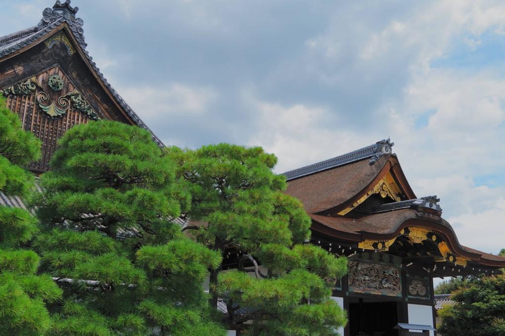 古都 京都の金閣寺と二条城