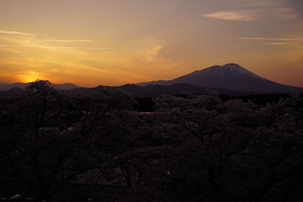 夕日と桜と月と岩手山