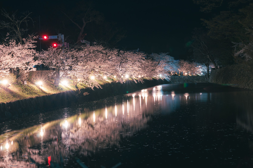 夜桜ロード