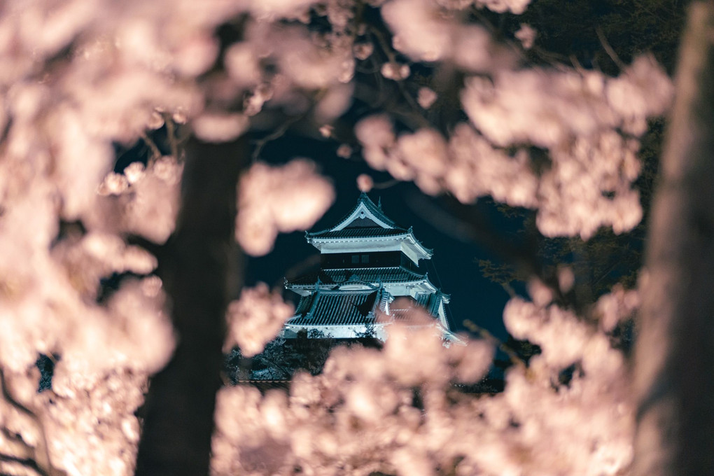 桜から覗く松本城