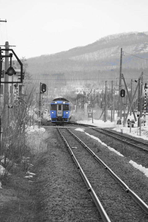 北海道#石北線#特急車両「キハ１８３」　定期運行から引退・・・　３７年間ありがとう