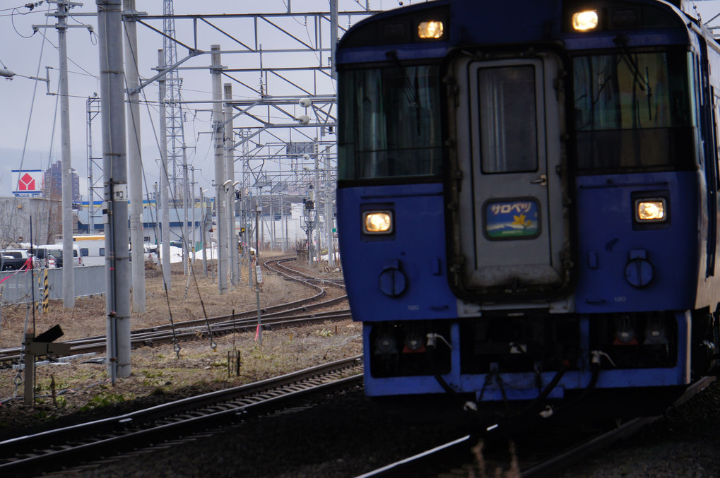 北海道特急列車「キハ１８３」ラストラン企画で宗谷線入線「サロベツ」