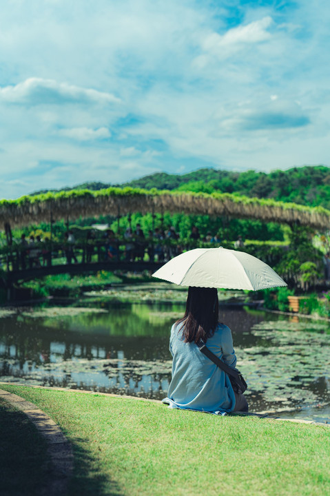 日傘を指す女と池に架かる藤の橋