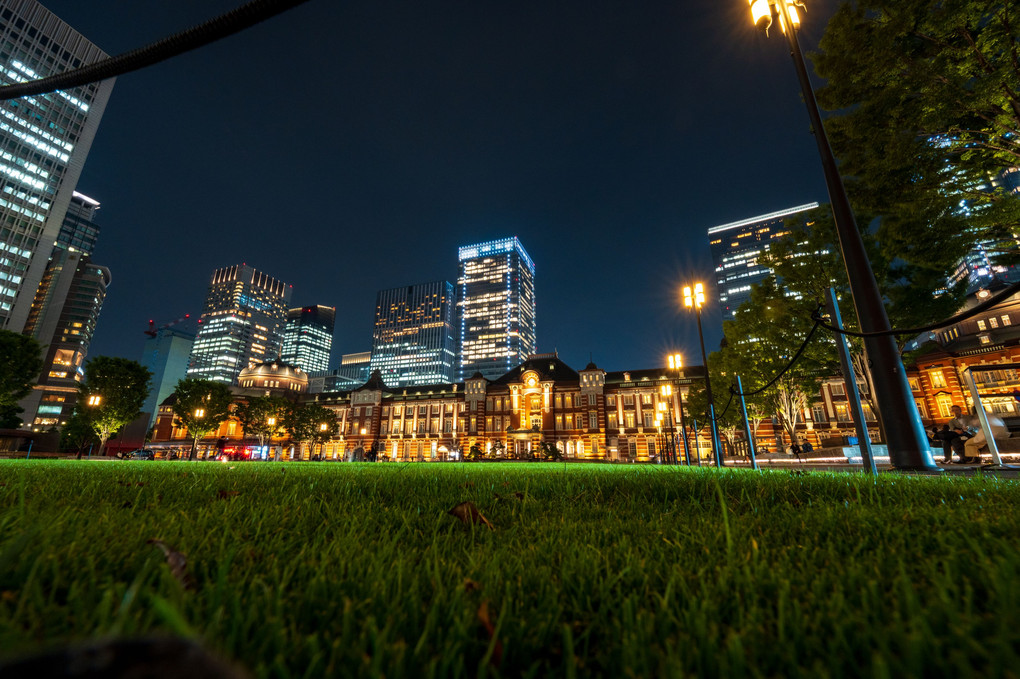 芝生から望む東京駅