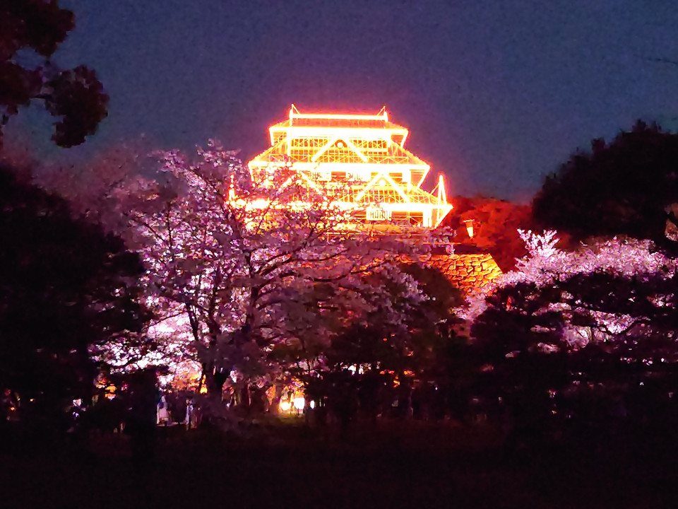 幻の福岡城と桜