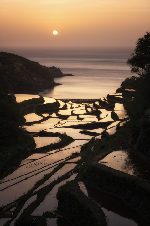 夕陽と棚田