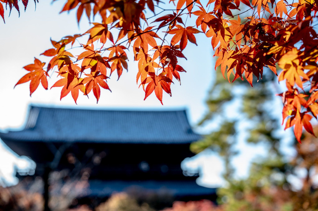 京都 - 南禅寺 