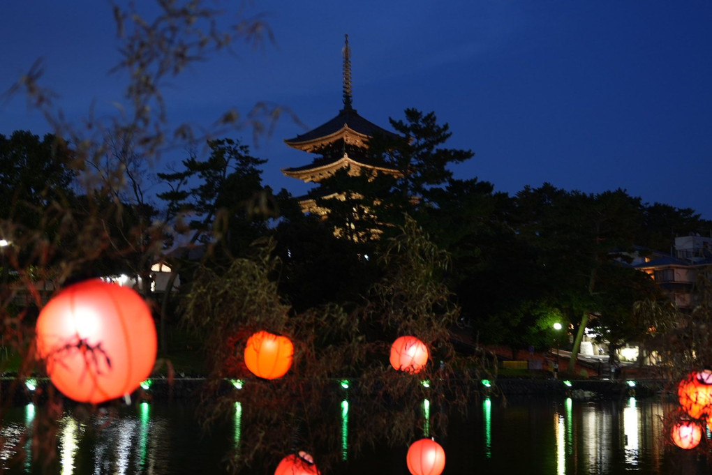 興福寺五重塔のライトアップ、ならまち遊歩とともに。