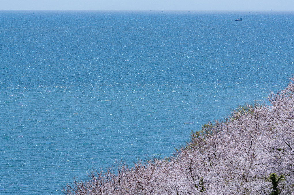 春の海