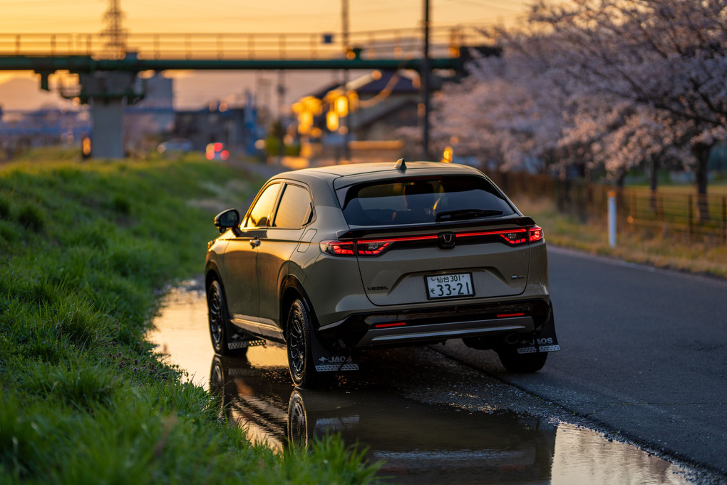 夕暮れの桜と車