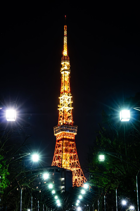 東京タワーとウニウニ