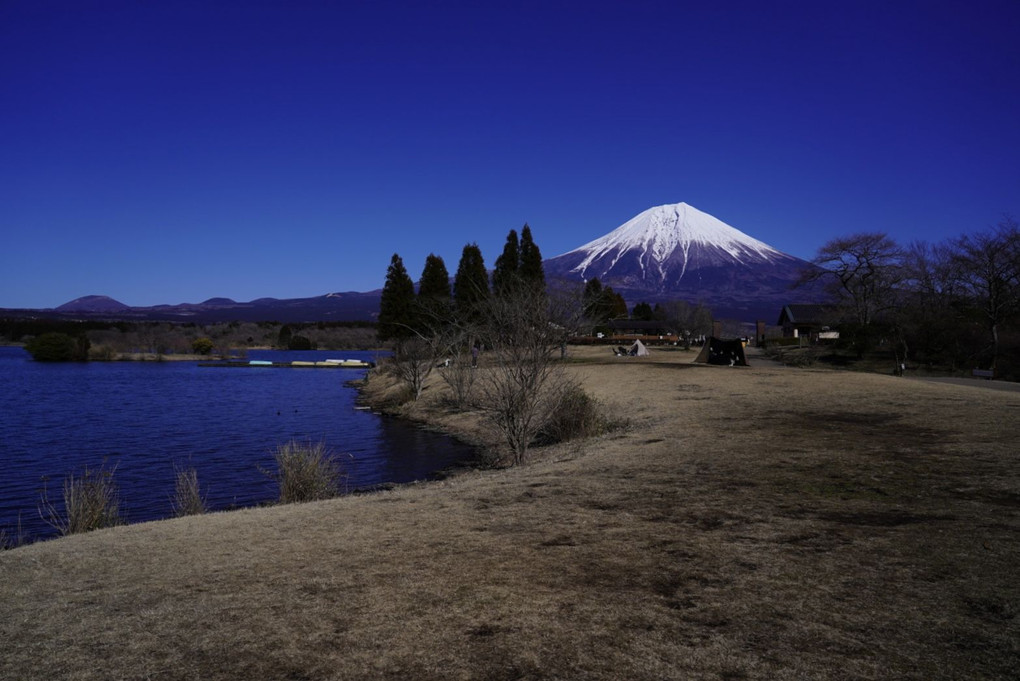 富士山に会いたくて