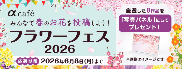αcafe フラワーフェス2026