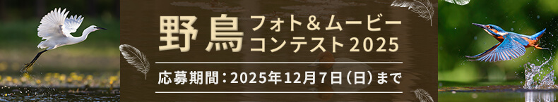 野鳥フォト＆ムービーコンテスト2025
