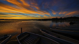 スペシャルコンテスト第12回