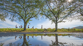 スペシャルコンテスト第14回