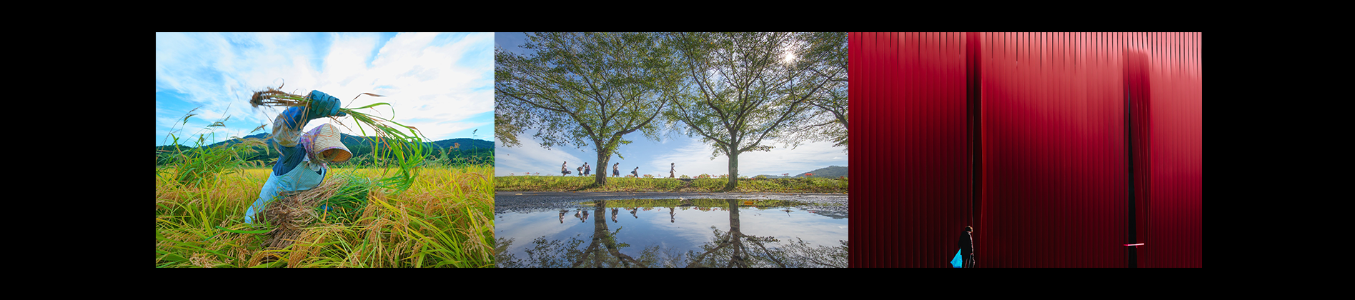 スペシャルコンテスト第15回