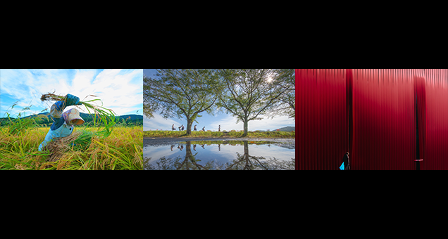 スペシャルコンテスト第15回