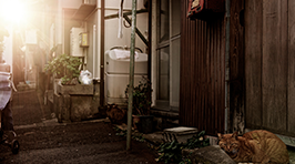 スペシャルコンテスト第5回