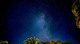 スペシャルコンテスト第6回