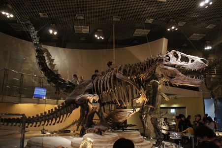 恐竜科学博物館2015