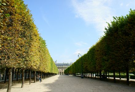 パリの並木道