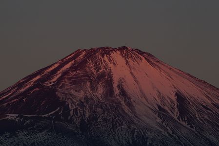 バイオレット富士