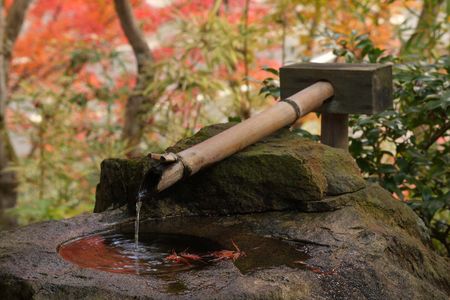 紅葉額田25-37（愛知）