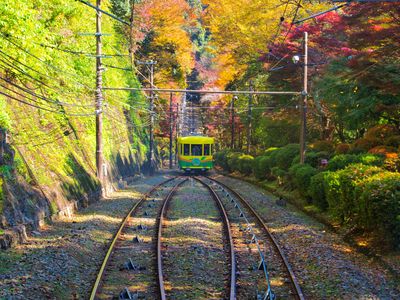 「紅葉」高尾山・ケーブルカー