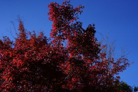 青空