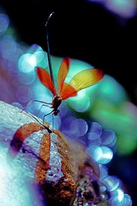 祝福岡県美術展入賞通知