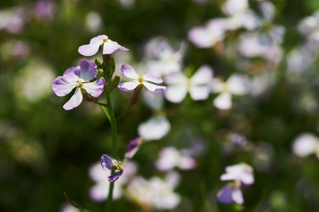 ずっと待っています