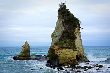 津々ヶ浦崩壊後　花は咲く