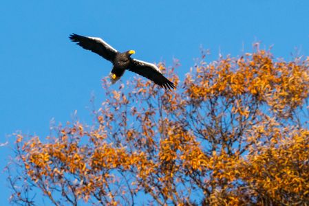 今年もようこそ