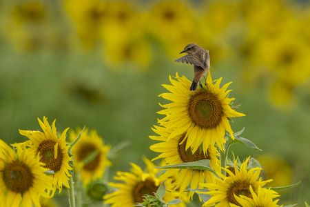 やっと秋が来た！ part3