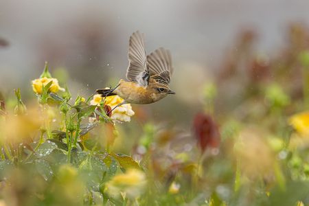やっと秋が来た！ part4