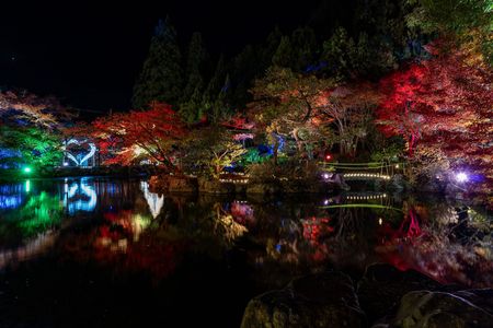 越前焼×イルミネーション『五千色の陶あかり』