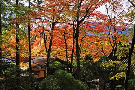 箱根長安寺の秋