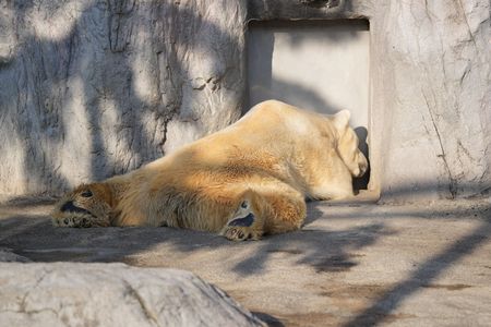 ねえ、ドア開けてよう・・