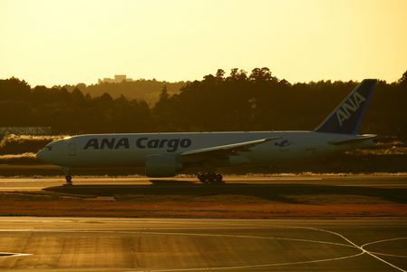 Sunset of ANA CARGO